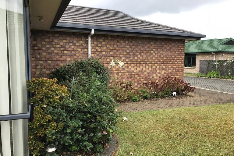 Photo of property in 7 Moffat Way, Bethlehem, Tauranga, 3110