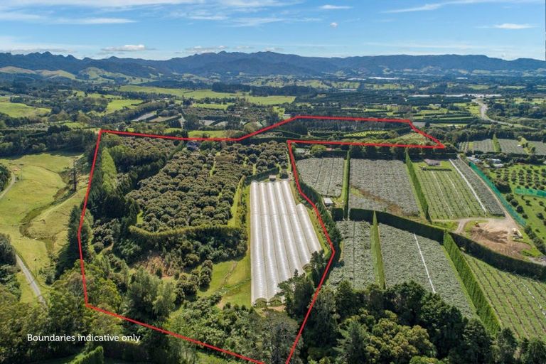 Photo of property in 44 Walker Road West, Aongatete, Katikati, 3178