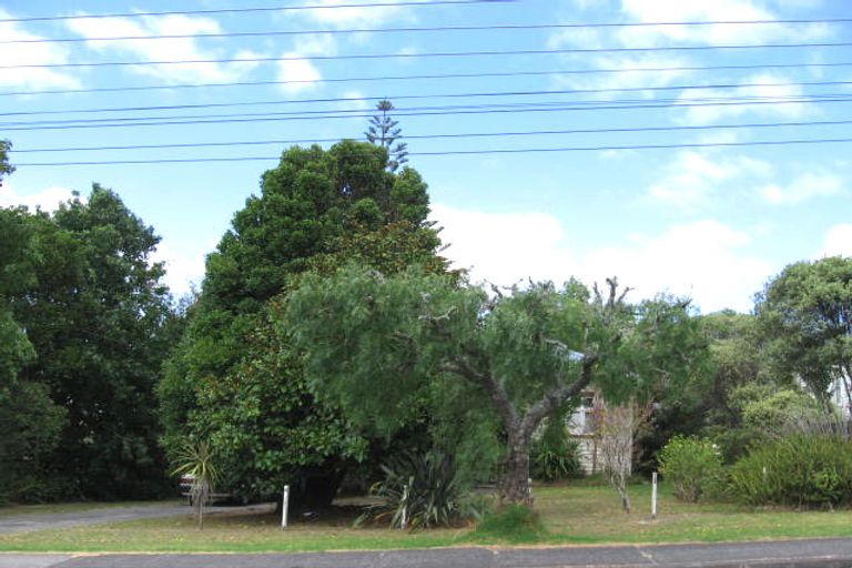 Photo of property in 17 Verbena Road, Birkdale, Auckland, 0626