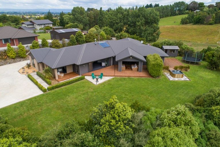 Photo of property in 19 Whio Avenue, Feilding, 4775