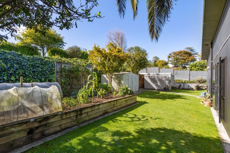 Photo of property in 399 Tukapa Street, Hurdon, New Plymouth, 4310