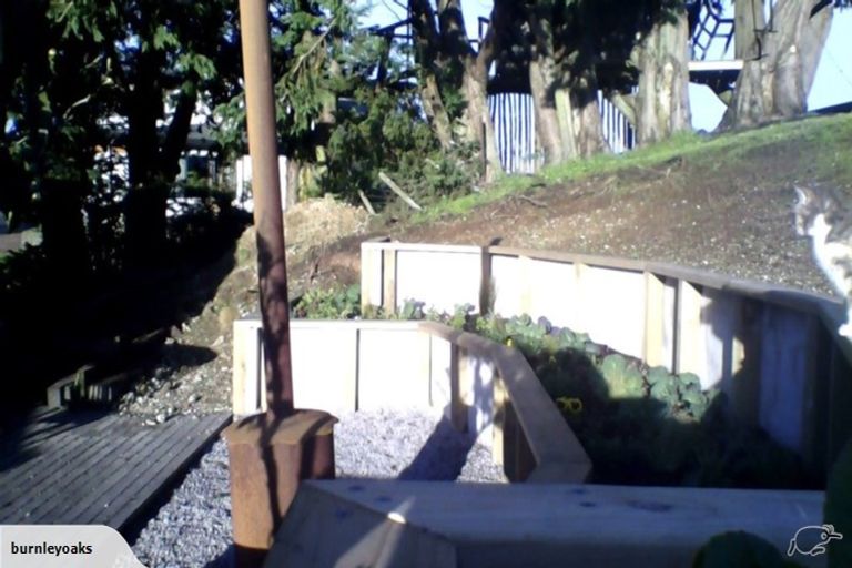 Photo of property in 463 Palmer Mill Road, Wairakei, Taupo, 3384