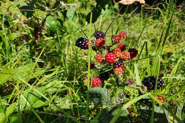 Photo of property in 33 Cambridge Terrace, Kaiti, Gisborne, 4010