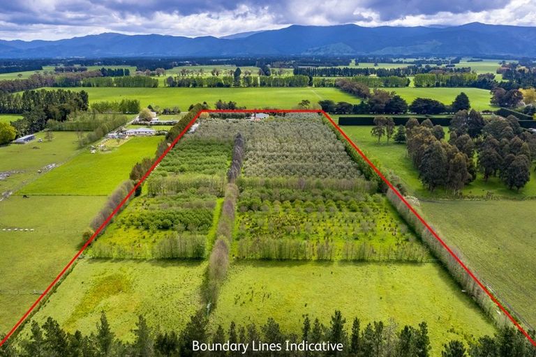 Photo of property in 179 Bidwills Cutting Road, Morison Bush, Greytown, 5794