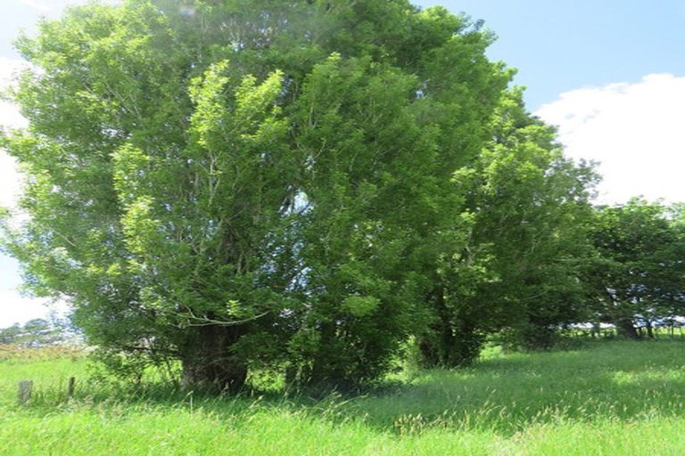 Photo of property in 605 Whakapirau Road, Whakapirau, Maungaturoto, 0583