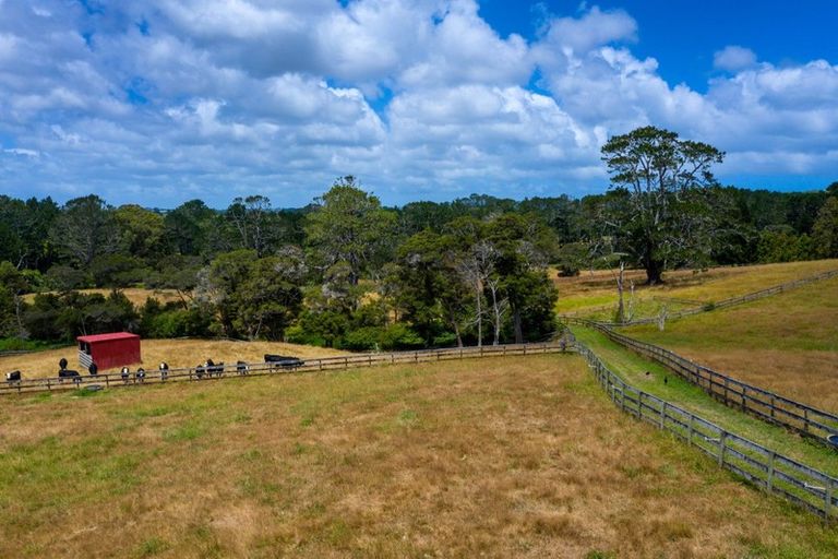 Photo of property in 11 Tawa Road, Kumeu, 0891