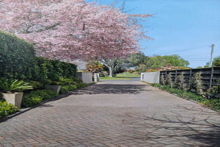 Photo of property in 15a Kingsley Street, Leamington, Cambridge, 3432