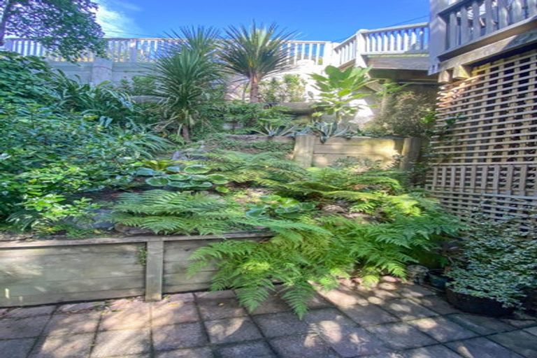 Photo of property in 84 Volga Street, Island Bay, Wellington, 6023