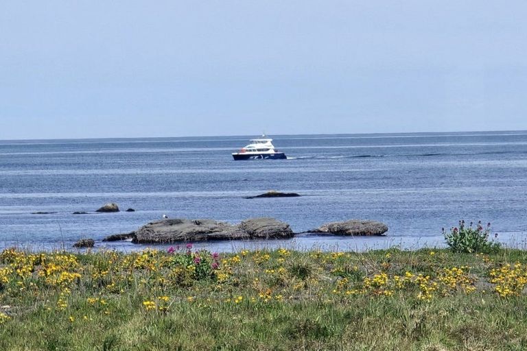 Photo of property in 41 South Bay Parade, South Bay, Kaikoura, 7300