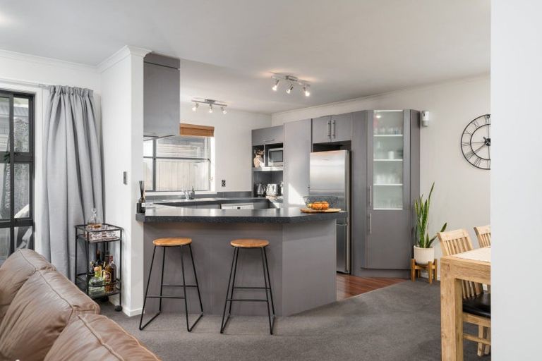 Photo of property in 54d Willoughby Street, Whitiora, Hamilton, 3200