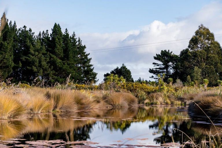 Photo of property in 369 Brighton Road, Waldronville, Dunedin, 9018