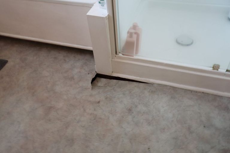 Photo of property in 14 Lysander Place, Hillcrest, Hamilton, 3216