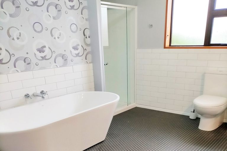 Photo of property in 46 Chapman Road, Earnscleugh, Alexandra, 9391