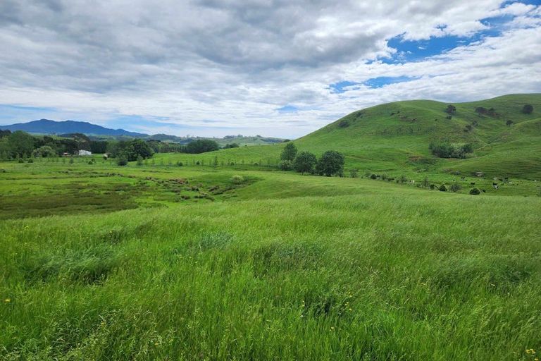 Photo of property in 201 Pond Road, Raglan, 3295