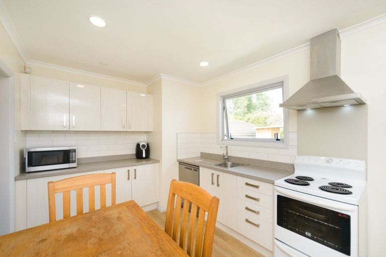 Photo of property in 236 Botanical Road, Takaro, Palmerston North, 4412