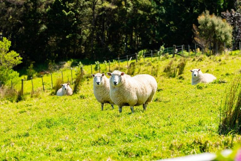 Photo of property in 264d Pahi Road, Pahi, Paparoa, 0571