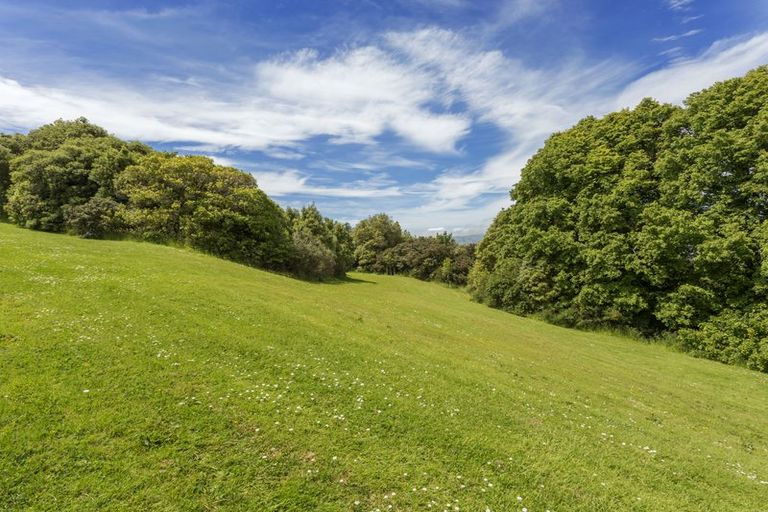 Photo of property in 19 Harcourt Street, Belleknowes, Dunedin, 9011