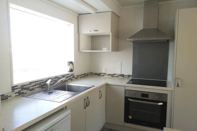 Photo of property in 21 Brocas Avenue, Hillcrest, Hamilton, 3216