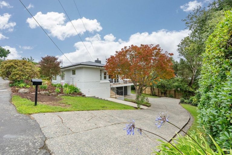 Photo of property in 3 Jason Street, Helensburgh, Dunedin, 9010
