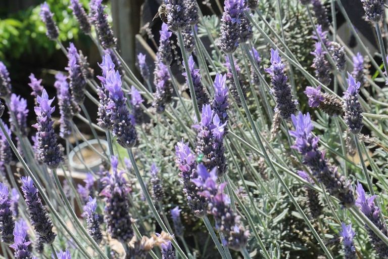 Photo of property in 156 Hakanoa Street, Huntly, 3700