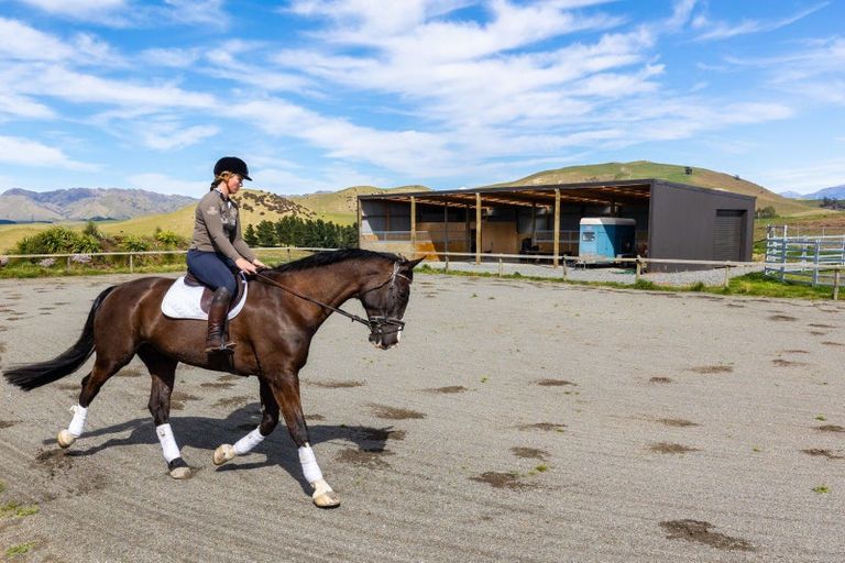 Photo of property in 59 Marama Road, Seddon, 7285