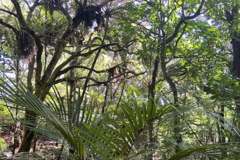 Photo of property in 480 Ponga Road, Opaheke, Papakura, 2584