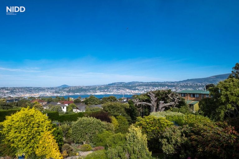 Photo of property in 115 Belford Street, Waverley, Dunedin, 9013