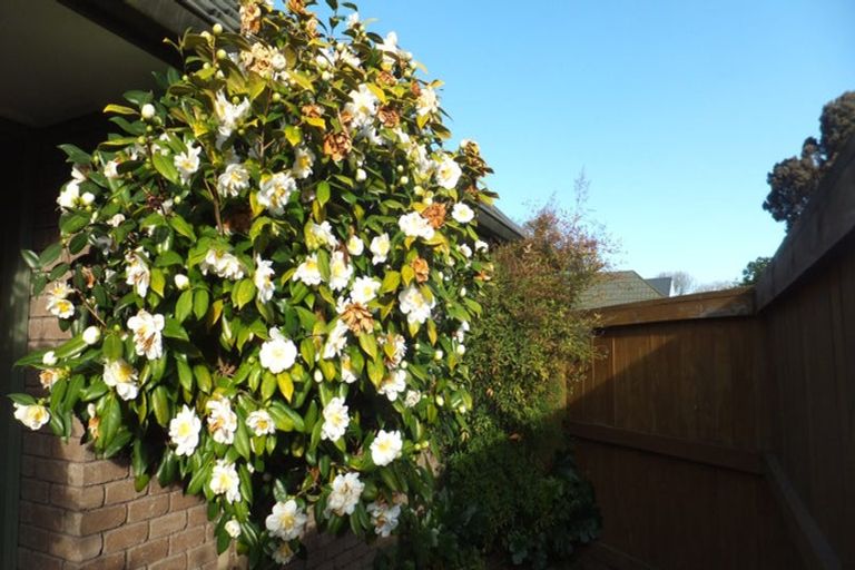 Photo of property in 108a Rugby Street, Merivale, Christchurch, 8014