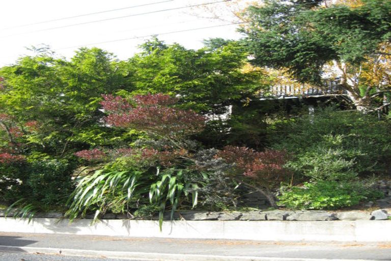 Photo of property in 180 Evans Street, Opoho, Dunedin, 9010