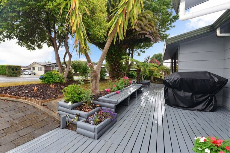 Photo of property in 110 Amanda Avenue, Dinsdale, Hamilton, 3204