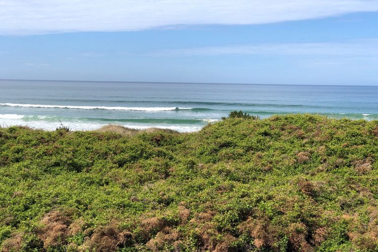 Photo of property in 1304 Brighton Road, Brighton, 9091