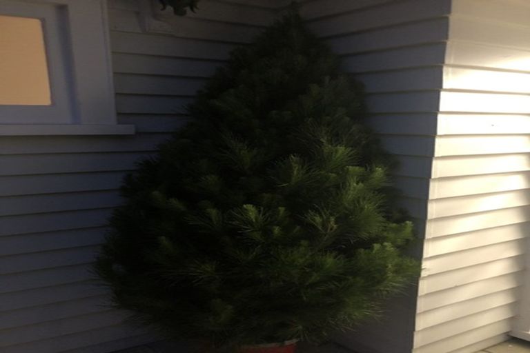 Photo of property in 317 River Road, Claudelands, Hamilton, 3214