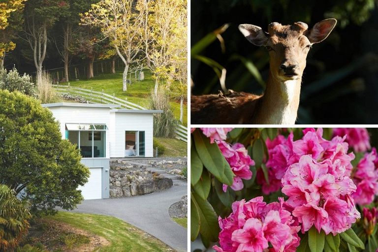 Photo of property in 18 Flight Valley Way, Welcome Bay, Tauranga, 3175