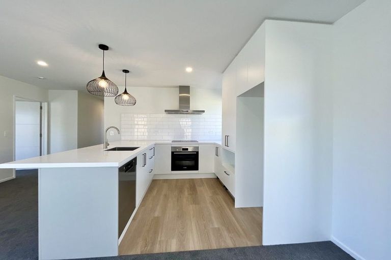 Photo of property in 47 O'callaghan Drive, Lincoln, 7674