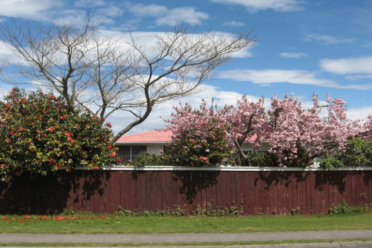 Photo of property in 1/52 Wheretia Street, Taupo, 3330