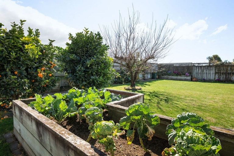 Photo of property in 14 Hoggard Place, Katikati, 3129