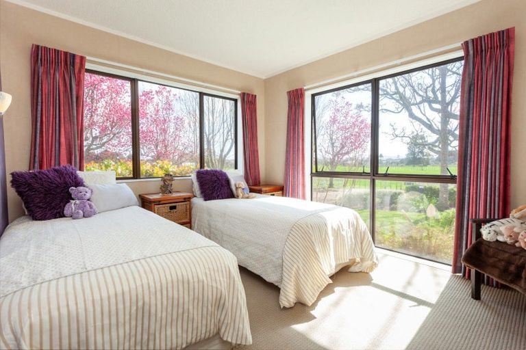 Photo of property in 134 Kereone Road, Morrinsville, 3371