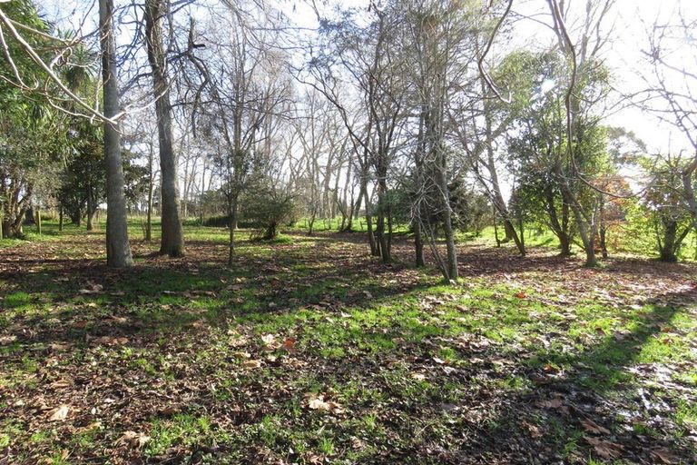 Photo of property in 25 Heatherlea Road East, Levin, 5571