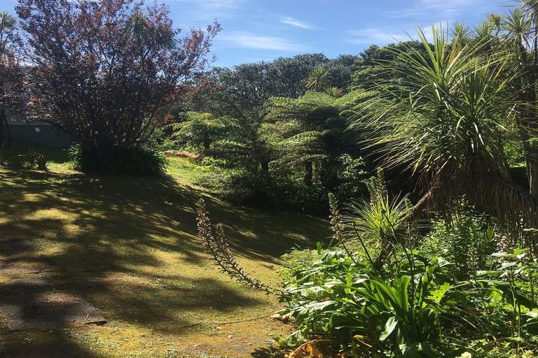 Photo of property in 85 Leigh Road, Leigh, 0985