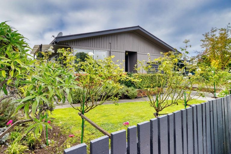 Photo of property in 105a Nelson Crescent, Napier South, Napier, 4110