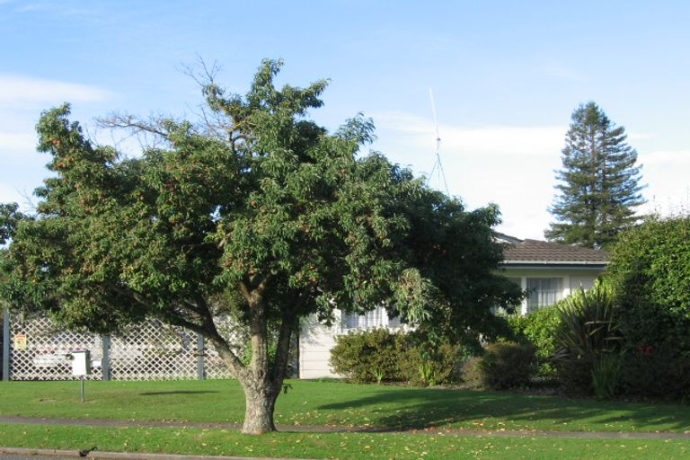 Photo of property in 115 Paraonui Road, Tokoroa, 3420