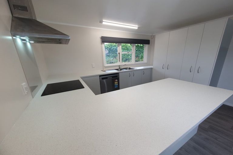 Photo of property in 32 Lake Crescent, Hamilton Lake, Hamilton, 3204