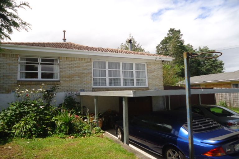 Photo of property in 54 Totara Street, Putaruru, 3411