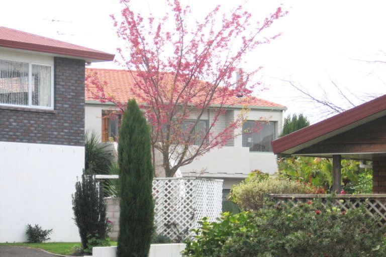 Photo of property in 29 Tarata Street, Matua, Tauranga, 3110