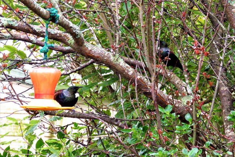 Photo of property in 23 Gladstone Street, Westport, 7825