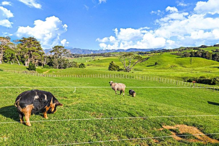 Photo of property in 227 Whiriwhiri Road, Otaua, Waiuku, 2682