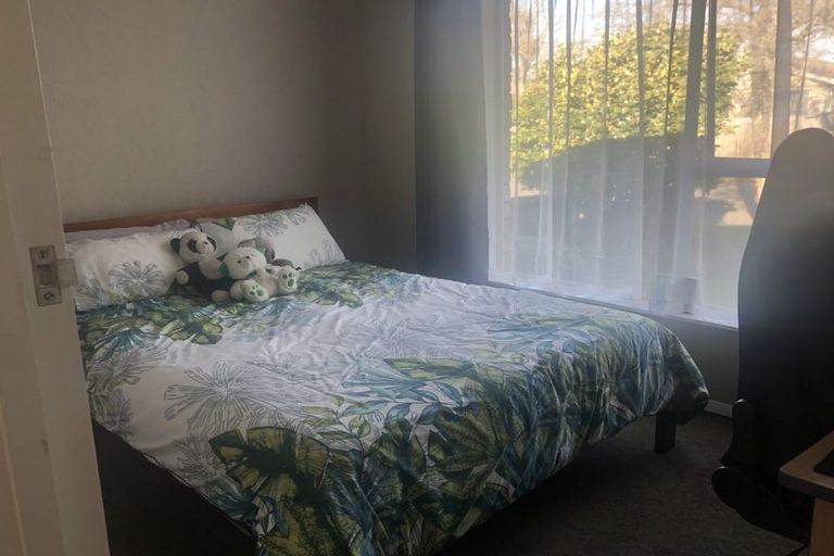Photo of property in 81 Lowry Avenue, Redwood, Christchurch, 8051