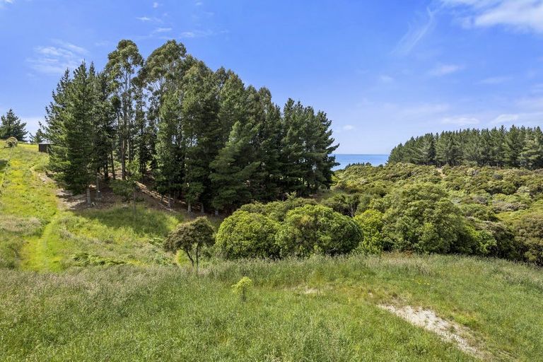 Photo of property in 61 Big Stone Road, Brighton, 9091