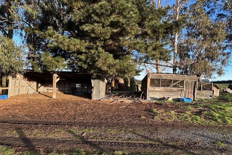 Photo of property in 520 Milton Highway, Stony Creek, Balclutha, 9272