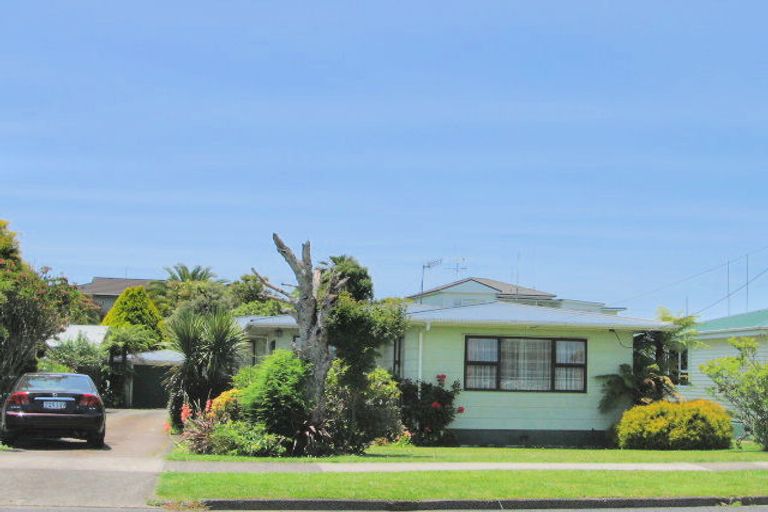Photo of property in 28 Rangitahi Street, Otorohanga, 3900